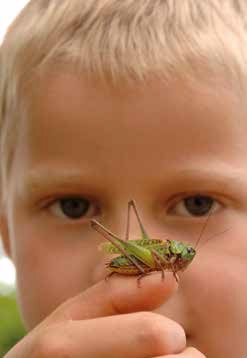 Gewaltprävention in Vorschule und Kindergarten